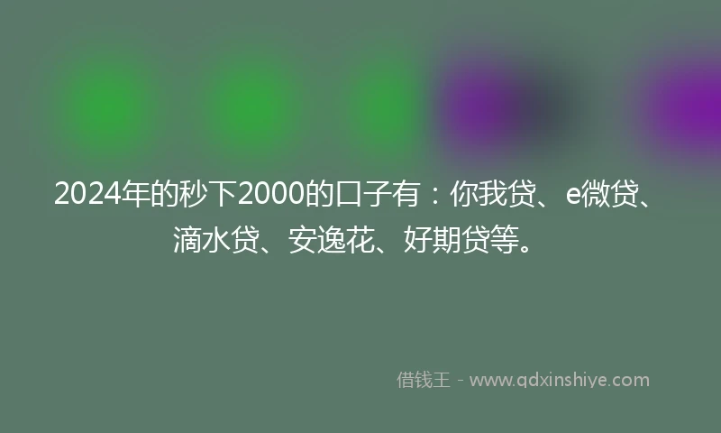 2024年的秒下2000的口子有：你我贷、e微贷、滴水贷、安逸花、好期贷等。