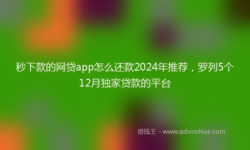 秒下款的网贷app怎么还款2024年推荐，罗列5个12月独家贷款的平台