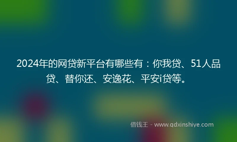 2024年的网贷新平台有哪些有：你我贷、51人品贷、替你还、安逸花、平安i贷等。