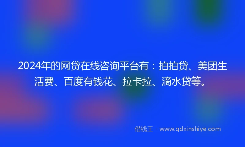 2024年的网贷在线咨询平台有：拍拍贷、美团生活费、百度有钱花、拉卡拉、滴水贷等。