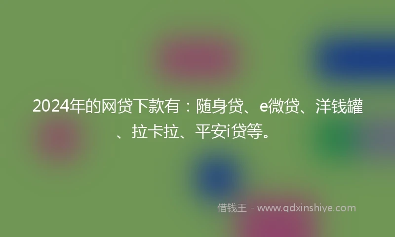 2024年的网贷下款有：随身贷、e微贷、洋钱罐、拉卡拉、平安i贷等。