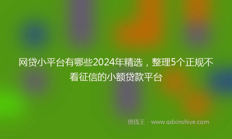网贷小平台有哪些2024年精选，整理5个正规不看征信的小额贷款平台