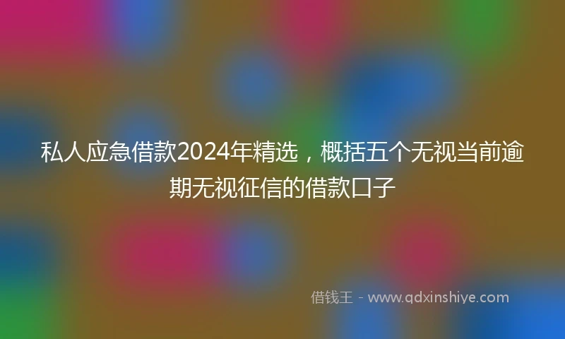 私人应急借款2024年精选，概括五个无视当前逾期无视征信的借款口子