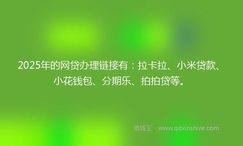 2025年的网贷办理链接有：拉卡拉、小米贷款、小花钱包、分期乐、拍拍贷等。