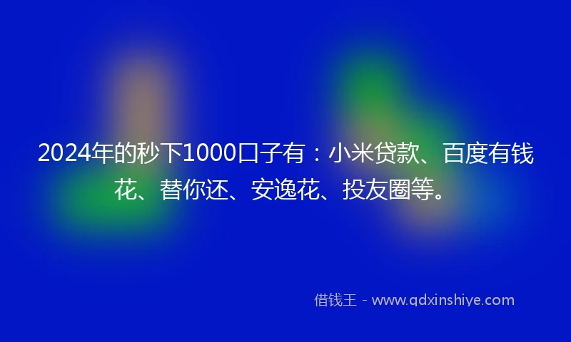 2024年的秒下1000口子有：小米贷款、百度有钱花、替你还、安逸花、投友圈等。
