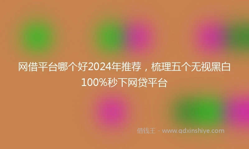 网借平台哪个好2024年推荐，梳理五个无视黑白100%秒下网贷平台