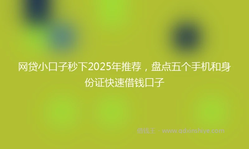 网贷小口子秒下2025年推荐，盘点五个手机和身份证快速借钱口子