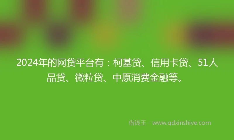 2024年的网贷平台有：柯基贷、信用卡贷、51人品贷、微粒贷、中原消费金融等。
