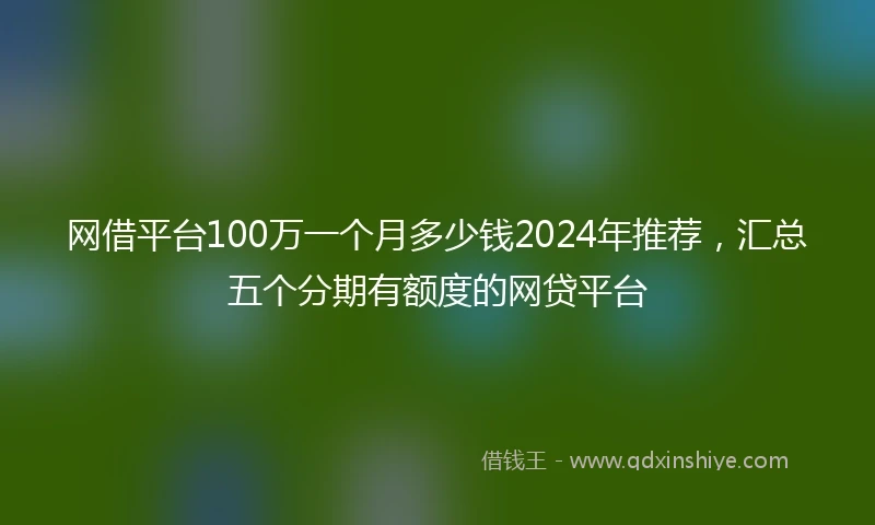 网借平台100万一个月多少钱2024年推荐，汇总五个分期有额度的网贷平台