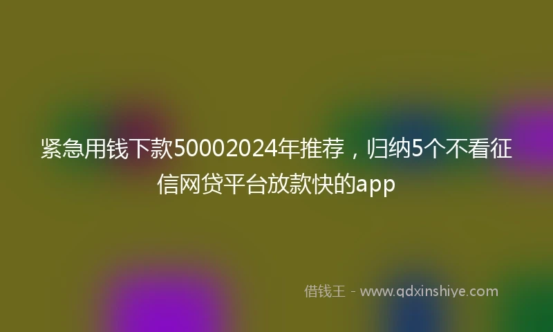紧急用钱下款50002024年推荐，归纳5个不看征信网贷平台放款快的app