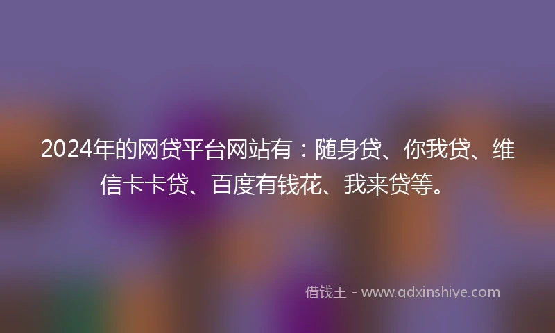 2024年的网贷平台网站有：随身贷、你我贷、维信卡卡贷、百度有钱花、我来贷等。