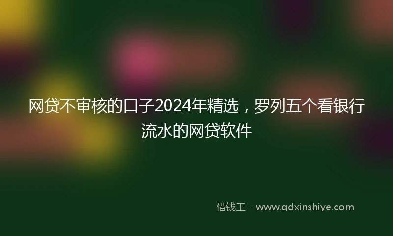 网贷不审核的口子2024年精选，罗列五个看银行流水的网贷软件