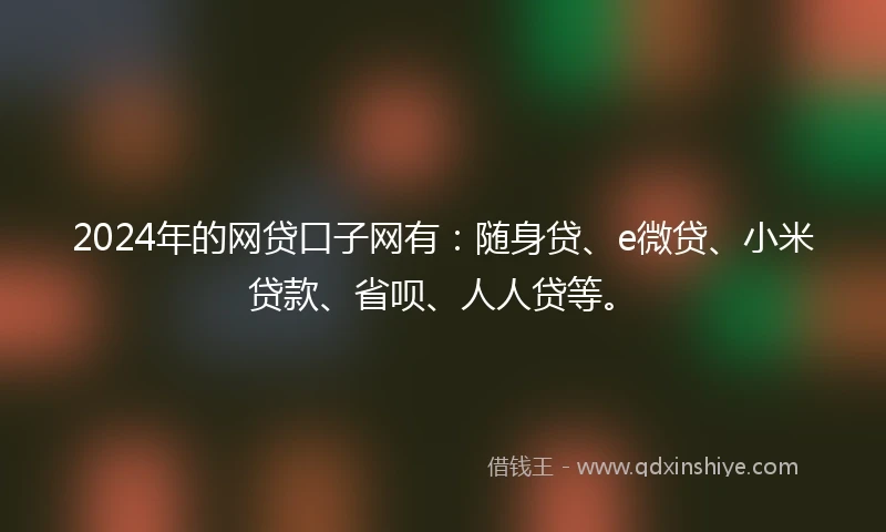 2024年的网贷口子网有：随身贷、e微贷、小米贷款、省呗、人人贷等。
