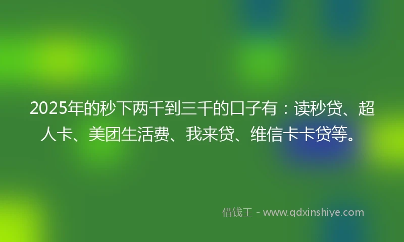 2025年的秒下两千到三千的口子有：读秒贷、超人卡、美团生活费、我来贷、维信卡卡贷等。