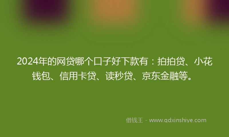 2024年的网贷哪个口子好下款有：拍拍贷、小花钱包、信用卡贷、读秒贷、京东金融等。