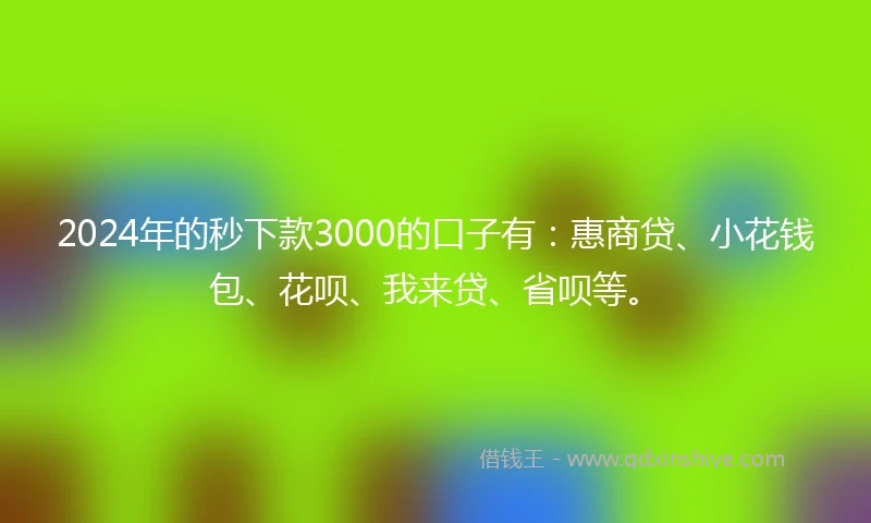 2024年的秒下款3000的口子有：惠商贷、小花钱包、花呗、我来贷、省呗等。