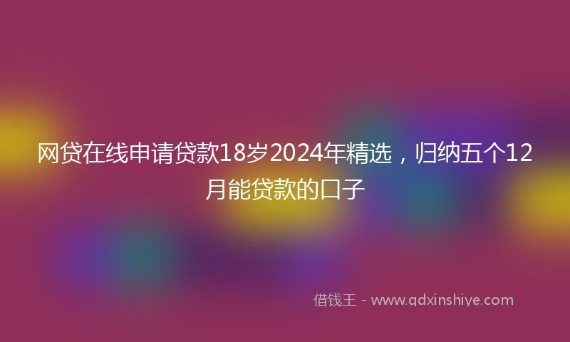 网贷在线申请贷款18岁2024年精选，归纳五个12月能贷款的口子