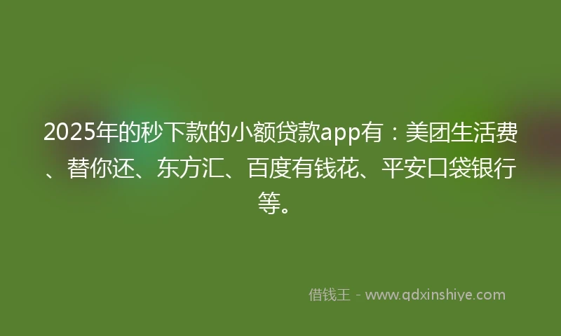 2025年的秒下款的小额贷款app有：美团生活费、替你还、东方汇、百度有钱花、平安口袋银行等。