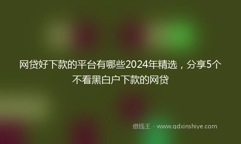 网贷好下款的平台有哪些2024年精选，分享5个不看黑白户下款的网贷