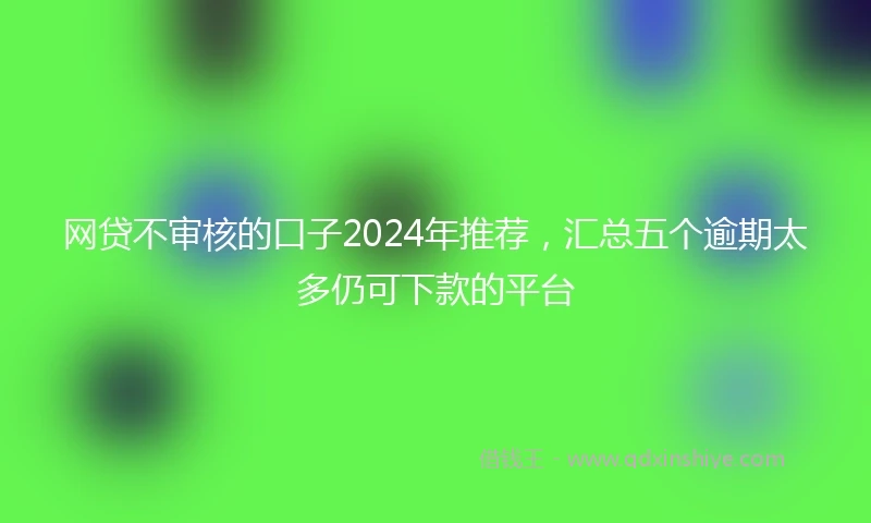 网贷不审核的口子2024年推荐，汇总五个逾期太多仍可下款的平台