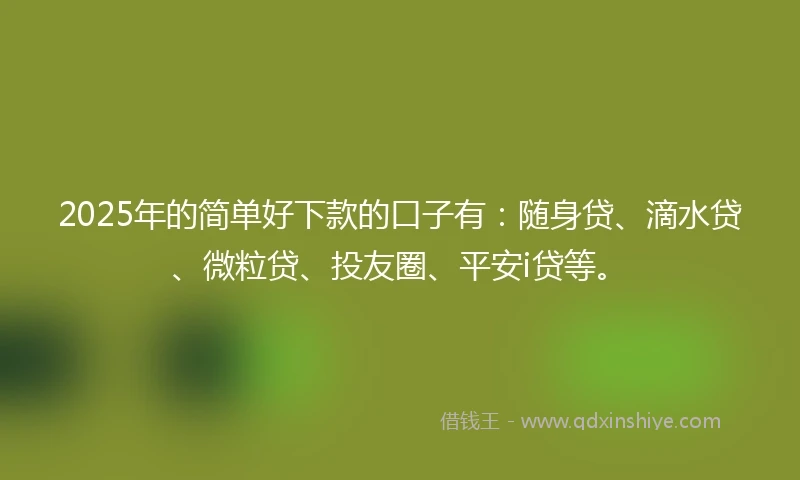 2025年的简单好下款的口子有：随身贷、滴水贷、微粒贷、投友圈、平安i贷等。