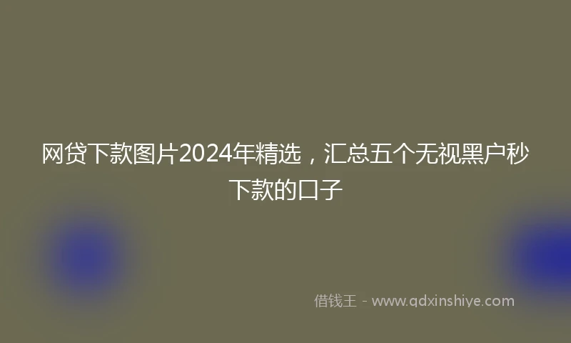 网贷下款图片2024年精选，汇总五个无视黑户秒下款的口子