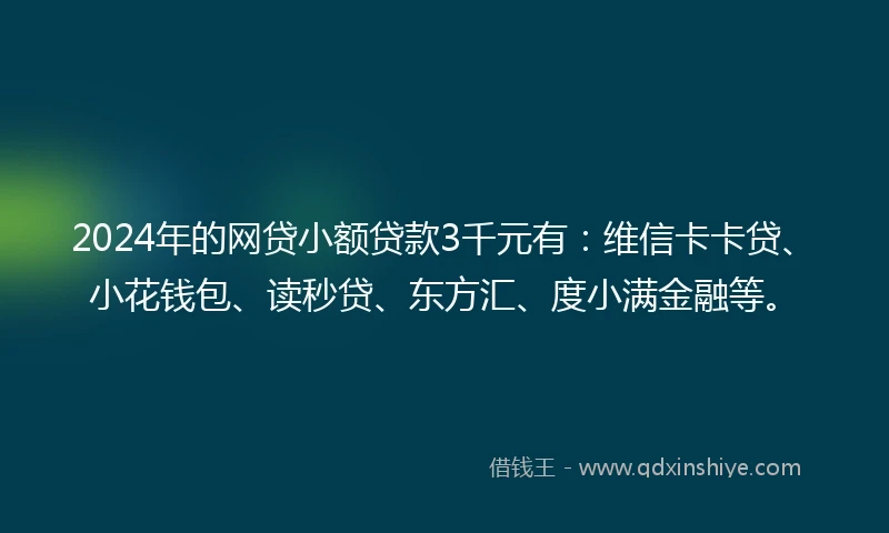 2024年的网贷小额贷款3千元有：维信卡卡贷、小花钱包、读秒贷、东方汇、度小满金融等。