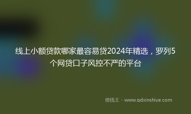 线上小额贷款哪家最容易贷2024年精选，罗列5个网贷口子风控不严的平台