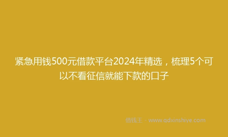 紧急用钱500元借款平台2024年精选，梳理5个可以不看征信就能下款的口子