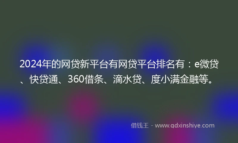 2024年的网贷新平台有网贷平台排名有：e微贷、快贷通、360借条、滴水贷、度小满金融等。