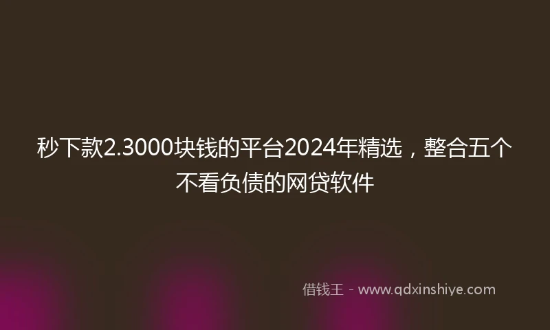 秒下款2.3000块钱的平台2024年精选，整合五个不看负债的网贷软件