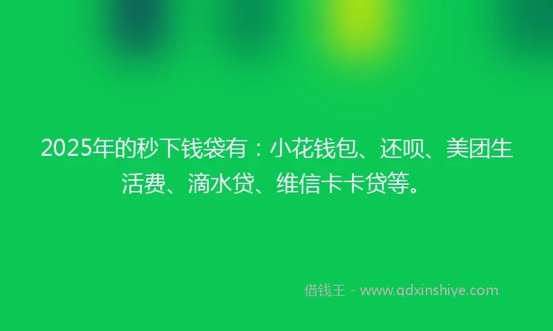 2025年的秒下钱袋有：小花钱包、还呗、美团生活费、滴水贷、维信卡卡贷等。