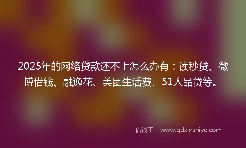 2025年的网络贷款还不上怎么办有：读秒贷、微博借钱、融逸花、美团生活费、51人品贷等。