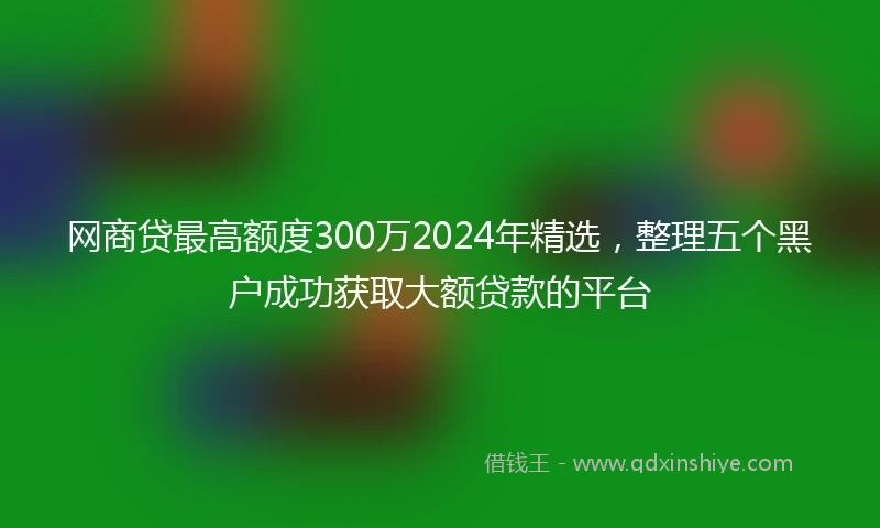 网商贷最高额度300万2024年精选，整理五个黑户成功获取大额贷款的平台
