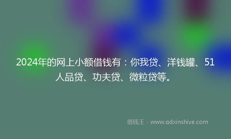 2024年的网上小额借钱有：你我贷、洋钱罐、51人品贷、功夫贷、微粒贷等。