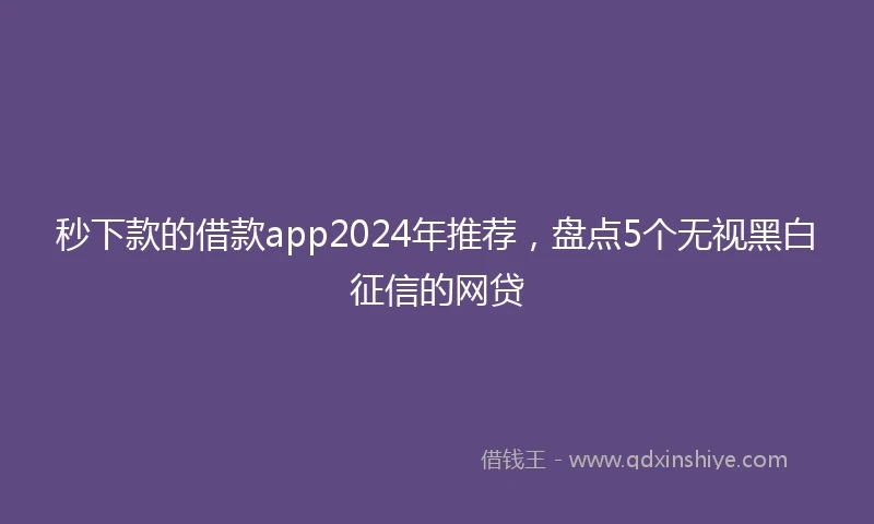 秒下款的借款app2024年推荐，盘点5个无视黑白征信的网贷