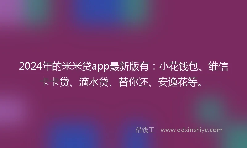 2024年的米米贷app最新版有：小花钱包、维信卡卡贷、滴水贷、替你还、安逸花等。