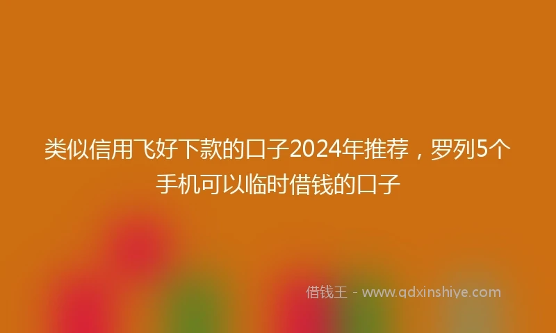 类似信用飞好下款的口子2024年推荐，罗列5个手机可以临时借钱的口子