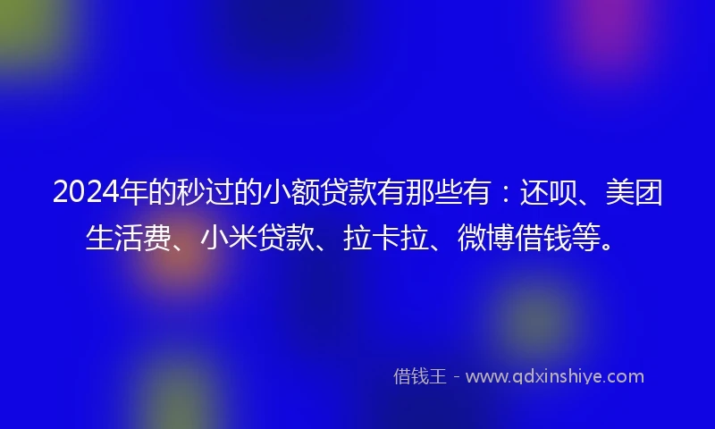 2024年的秒过的小额贷款有那些有：还呗、美团生活费、小米贷款、拉卡拉、微博借钱等。