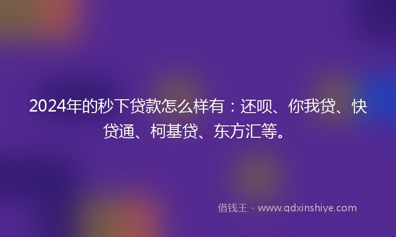 2024年的秒下贷款怎么样有：还呗、你我贷、快贷通、柯基贷、东方汇等。