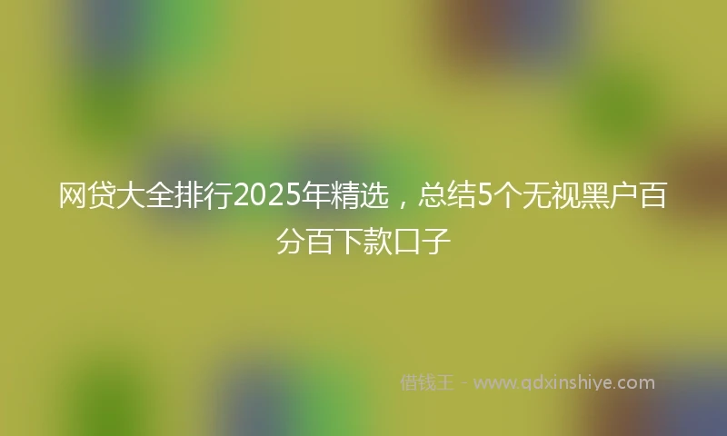 网贷大全排行2025年精选，总结5个无视黑户百分百下款口子