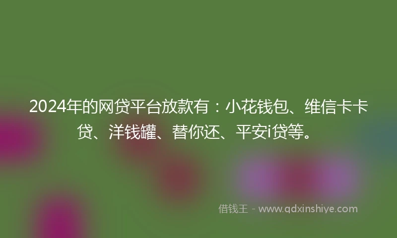2024年的网贷平台放款有：小花钱包、维信卡卡贷、洋钱罐、替你还、平安i贷等。