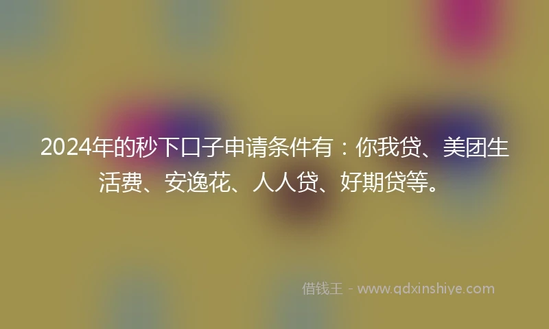 2024年的秒下口子申请条件有：你我贷、美团生活费、安逸花、人人贷、好期贷等。