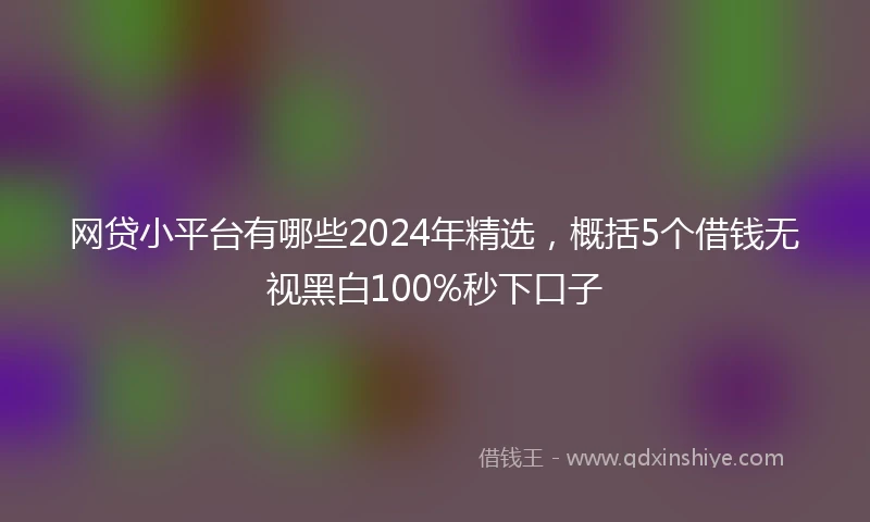 网贷小平台有哪些2024年精选，概括5个借钱无视黑白100%秒下口子