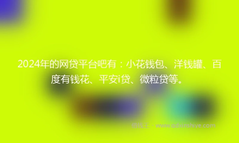2024年的网贷平台吧有：小花钱包、洋钱罐、百度有钱花、平安i贷、微粒贷等。