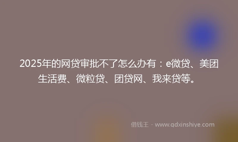 2025年的网贷审批不了怎么办有：e微贷、美团生活费、微粒贷、团贷网、我来贷等。