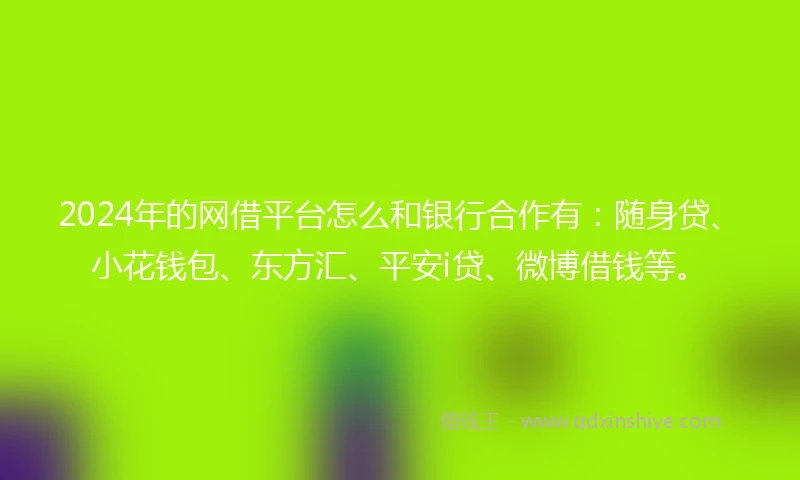 2024年的网借平台怎么和银行合作有：随身贷、小花钱包、东方汇、平安i贷、微博借钱等。