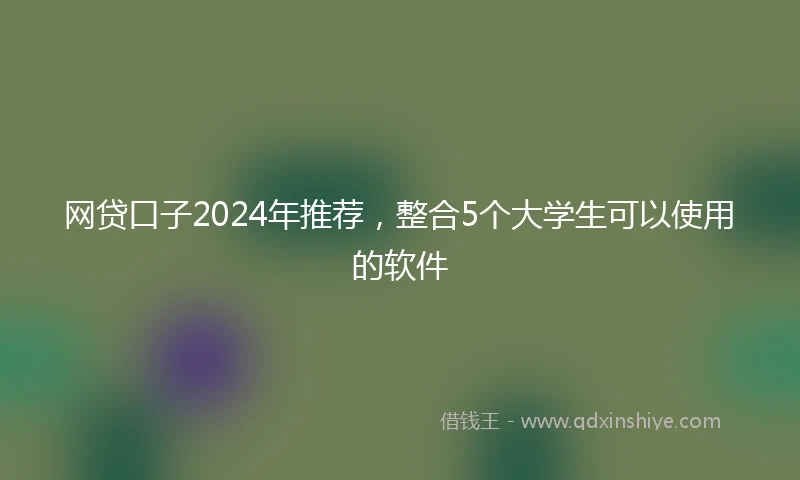 网贷口子2024年推荐，整合5个大学生可以使用的软件