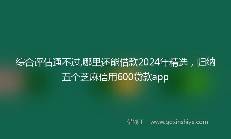 综合评估通不过,哪里还能借款2024年精选，归纳五个芝麻信用600贷款app
