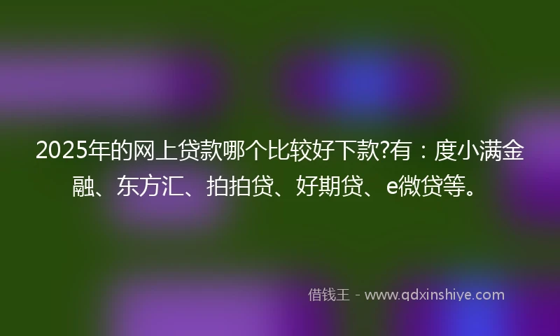 2025年的网上贷款哪个比较好下款?有:度小满金融、东方汇、拍拍贷、好期贷、e微贷等。